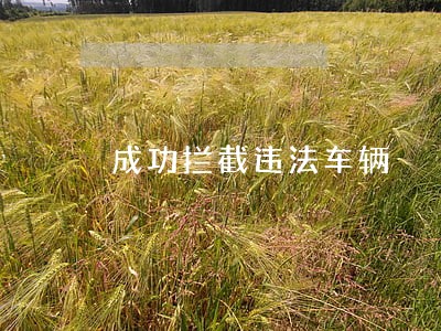 成功拦截违法车辆