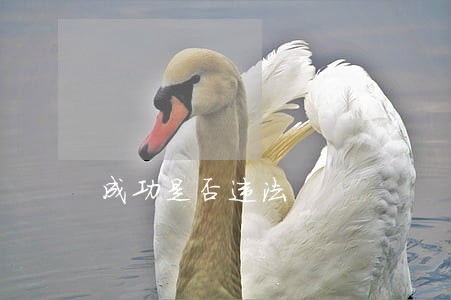 成功是否违法 成功是否违法