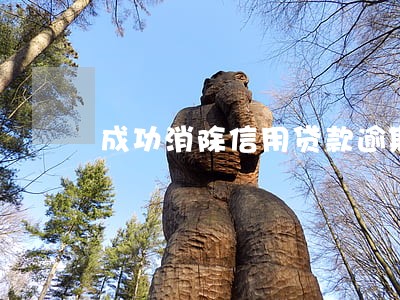 成功消除信用贷款逾期 成功消除信用贷款逾期