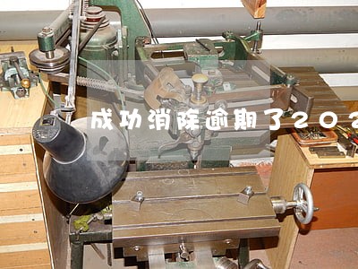成功消除逾期了2021 成功消除逾期了2021