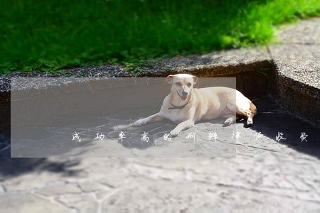 成功率高的刑辩律师收费 成功率高的刑辩律师收费