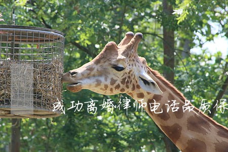 成功离婚律师电话品质保障