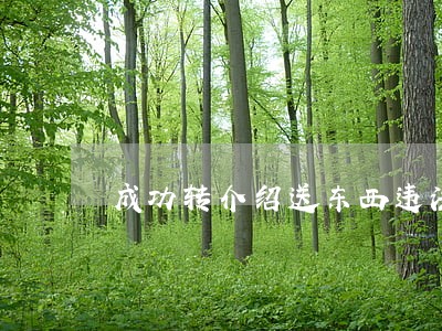成功转介绍送东西违法吗