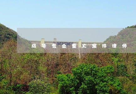 成华专业重大案件律师 成华专业重大案件律师