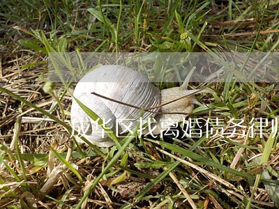 成华区找离婚债务律师 成华区找离婚债务律师
