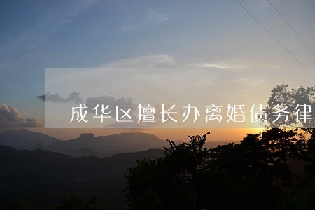 成华区擅长办离婚债务律师 成华区擅长办离婚债务律师