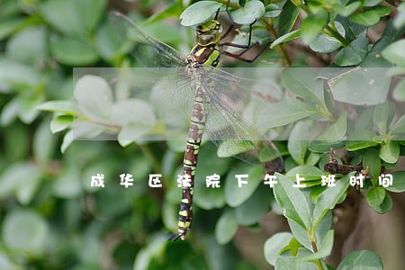 成华区法院下午上班时间 成华区法院下午上班时间