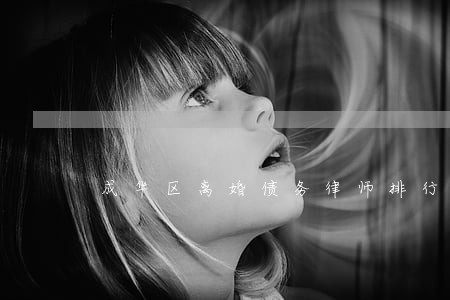 成华区离婚债务律师排行 成华区离婚债务律师排行