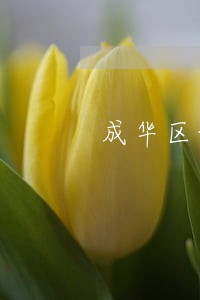 成华区请债权债务清理律师 成华区请债权债务清理律师