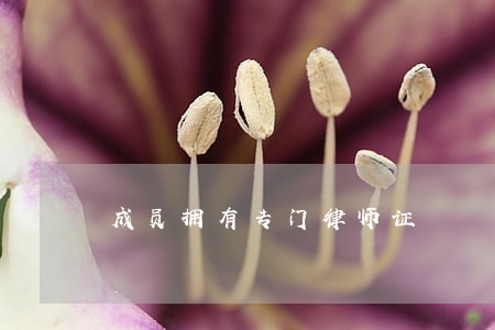 成员拥有专门律师证 成员拥有专门律师证