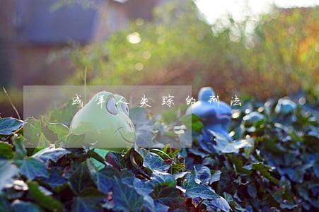 成年人失踪的刑法