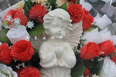 成志波律师 成志波律师