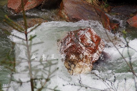 成本及其控制研究 成本及其控制研究