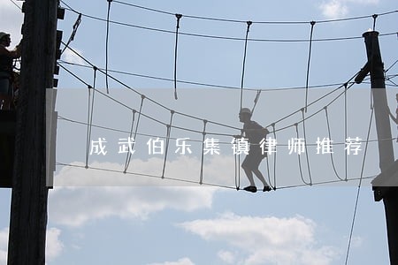 成武伯乐集镇律师推荐 成武伯乐集镇律师推荐