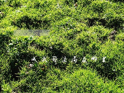 成武司法局在哪里 成武司法局在哪里