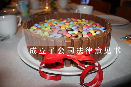 成立子公司法律意见书