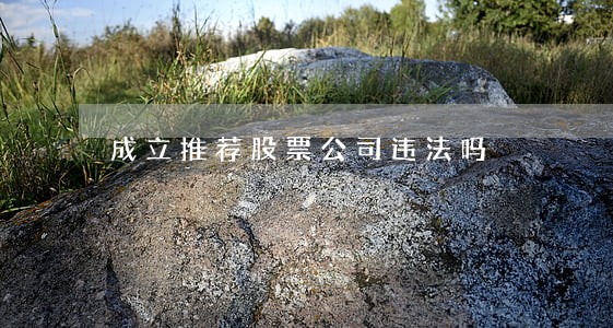 成立推荐股票公司违法吗 成立推荐股票公司违法吗