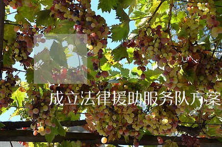 成立法律援助服务队方案