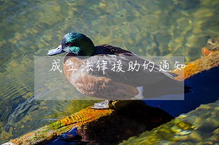 成立法律援助的通知