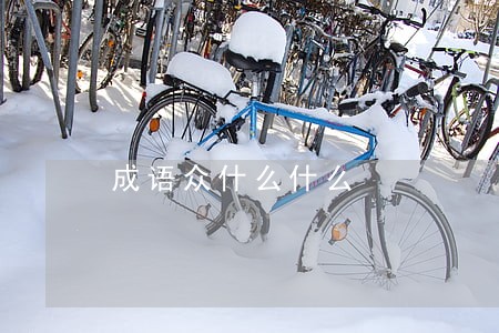成语众什么什么