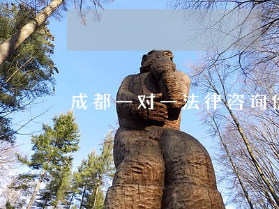 成都一对一法律咨询价钱 成都一对一法律咨询价钱