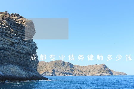 成都专业债务律师多少钱 成都专业债务律师多少钱