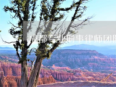 成都专业刑事律师团队 成都专业刑事律师团队