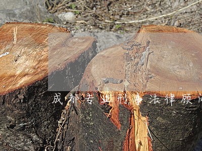 成都专业刑事法律顾问 成都专业刑事法律顾问