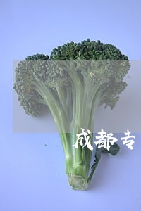 成都专业婚姻律师 成都专业婚姻律师