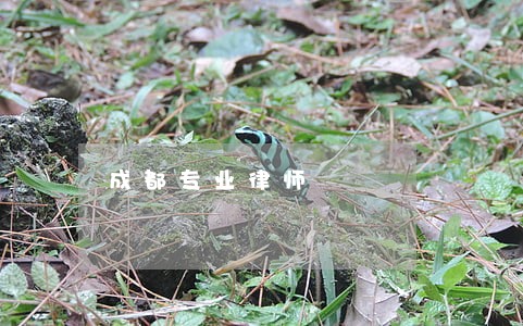 成都专业律师 成都专业律师
