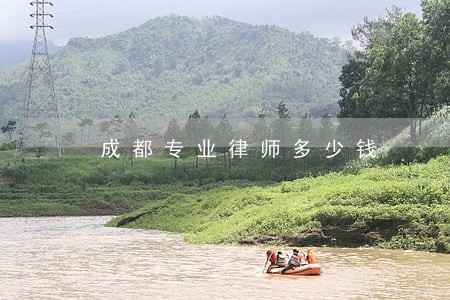 成都专业律师多少钱 成都专业律师多少钱