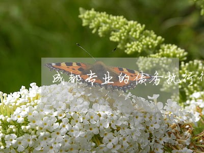 成都专业的债务执行律师免费咨询 成都专业的债务执行律师免费咨询