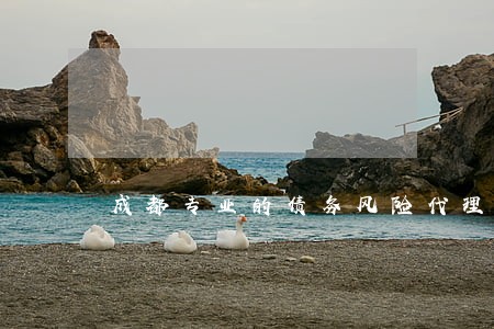 成都专业的债务风险代理律师费用 成都专业的债务风险代理律师费用