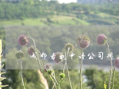 成都专利申请公司排名 成都专利申请公司排名