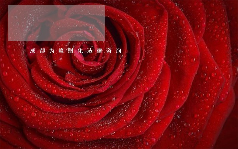 成都为峰财化法律咨询 成都为峰财化法律咨询