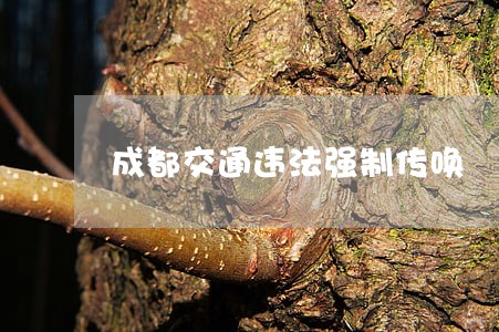 成都交通违法强制传唤