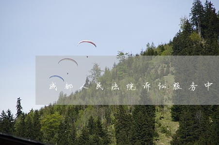成都人民法院诉讼服务中心 成都人民法院诉讼服务中心