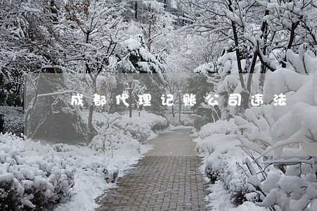 成都代理记账公司违法