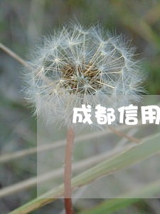 成都信用卡代还找卡不逾期 成都信用卡代还找卡不逾期