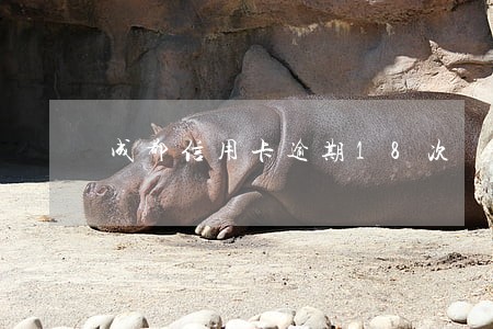 成都信用卡逾期18次