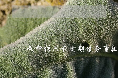 成都信用卡逾期债务重组怎么协商 成都信用卡逾期债务重组怎么协商