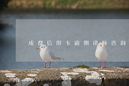 成都信用卡逾期律师咨询 成都信用卡逾期律师咨询