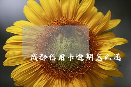 成都信用卡逾期怎么还 成都信用卡逾期怎么还