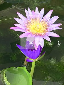 成都债务催收