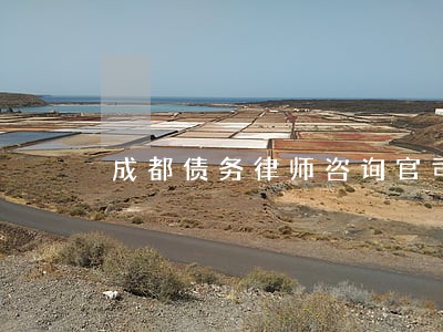 成都债务律师咨询官司
