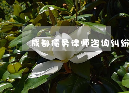 成都债务律师咨询纠纷 成都债务律师咨询纠纷