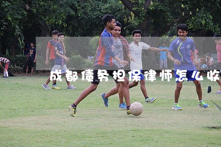 成都债务担保律师怎么收费 成都债务担保律师怎么收费