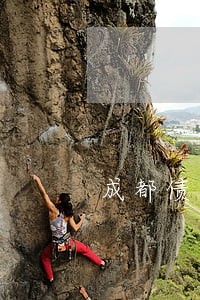 成都债务担保律师电话多少 成都债务担保律师电话多少