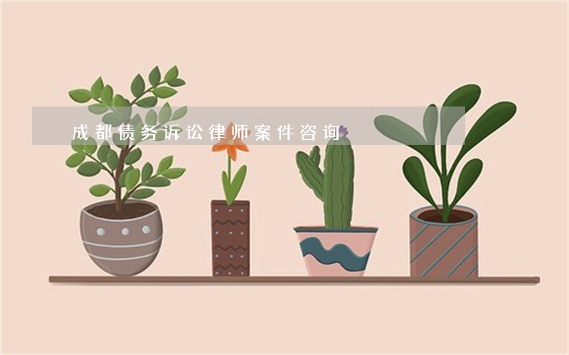 成都债务诉讼律师案件咨询 成都债务诉讼律师案件咨询