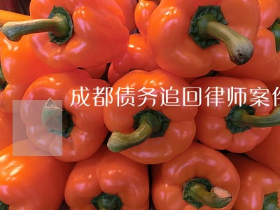 成都债务追回律师案件咨询 成都债务追回律师案件咨询